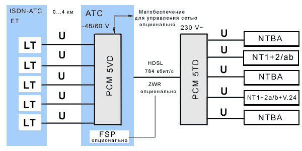 5D_cx.gif (10900 bytes)